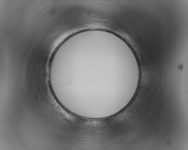 X0000110711286200907101235