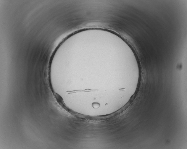 X0000110711288200907101235