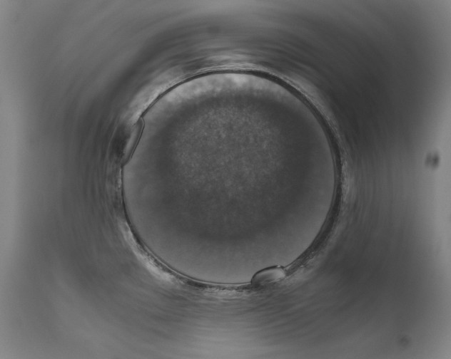 X0000110711289200907101235