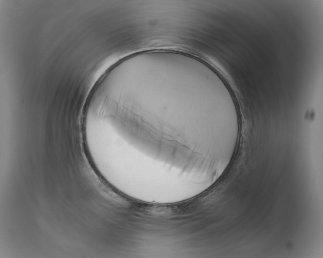 X0000110711291200907101235