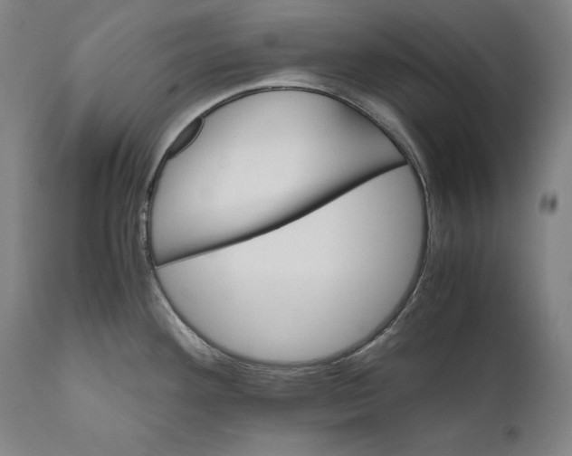 X0000110711292200907101235