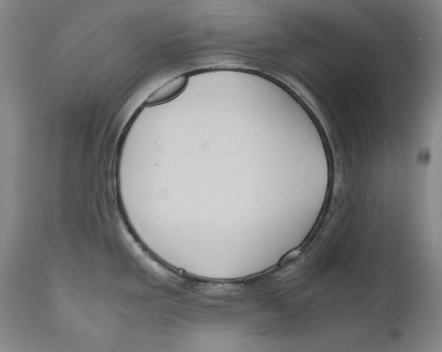 X0000110711293200907101235