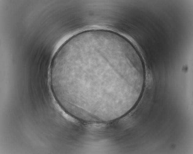 X0000110711294200907101235