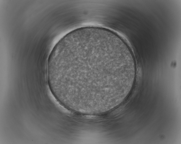 X0000110711295200907101235