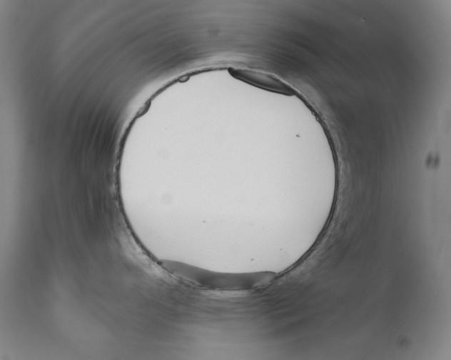 X0000110711296200907101235