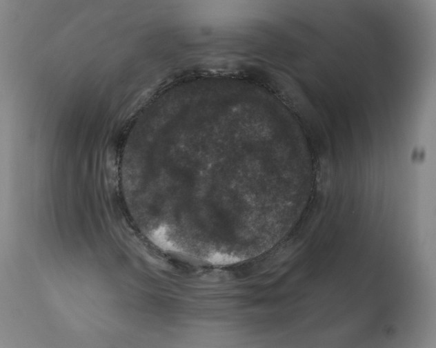 X0000110711298200907101234