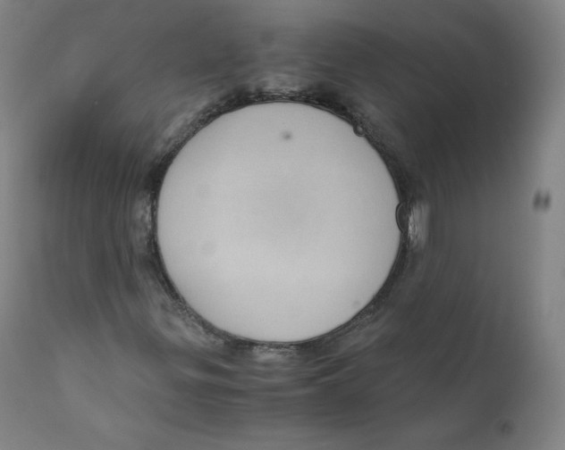 X0000110711299200907101234