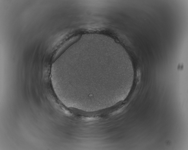 X0000110711300200907101235