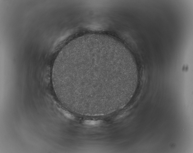 X0000110711301200907101235