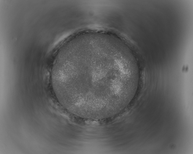 X0000110711302200907101235