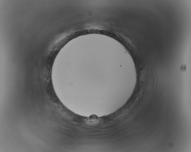 X0000110711303200907101235