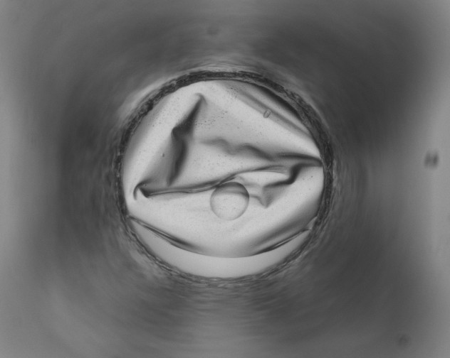 X0000110711304200907101235