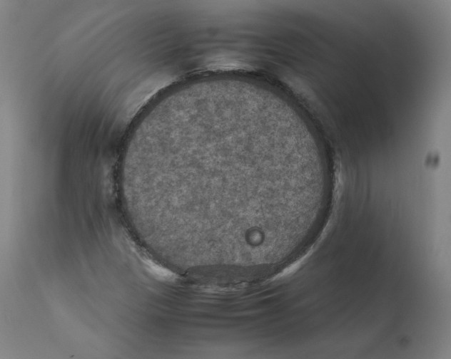 X0000110711305200907101235