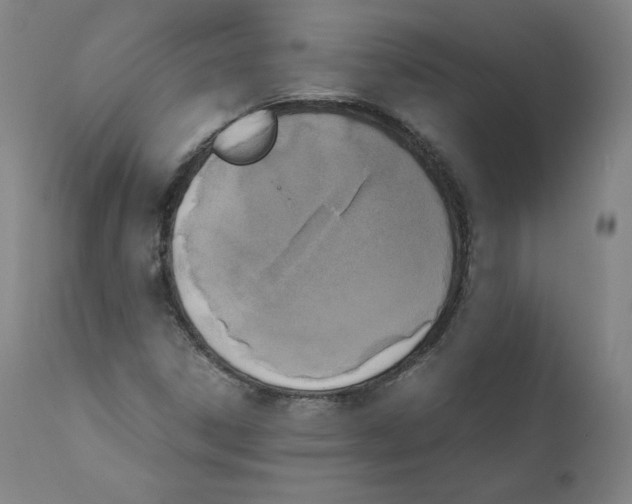 X0000110711306200907101235