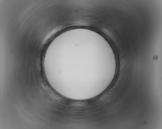 X0000110711307200907101235