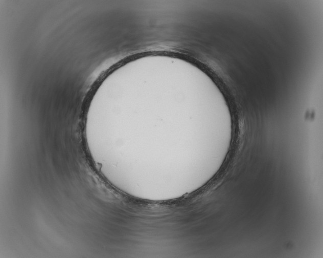 X0000110711308200907101235