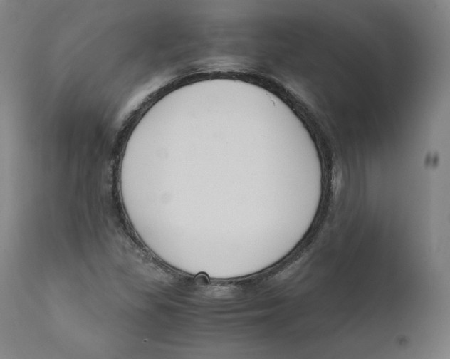 X0000110711309200907101235