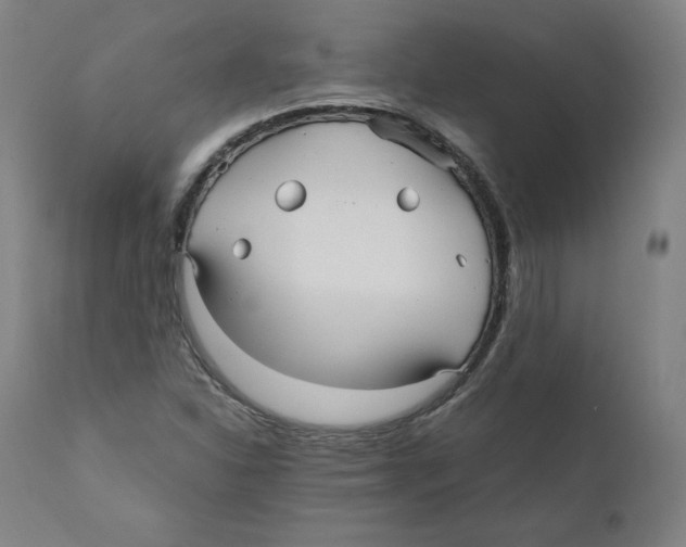 X0000110711310200907101235