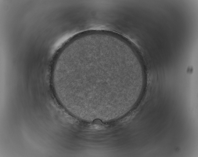 X0000110711311200907101235