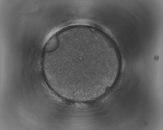 X0000110711312200907101235