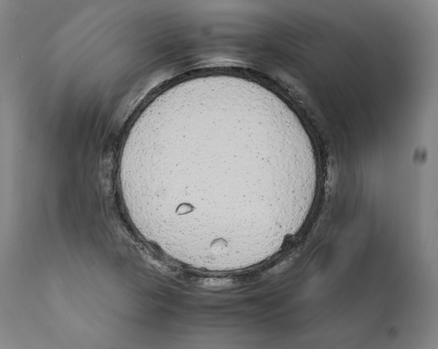 X0000110711313200907101235