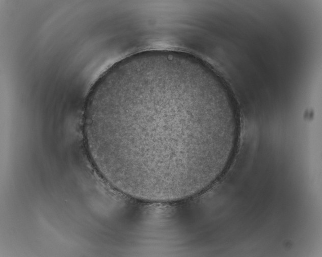 X0000110711314200907101235