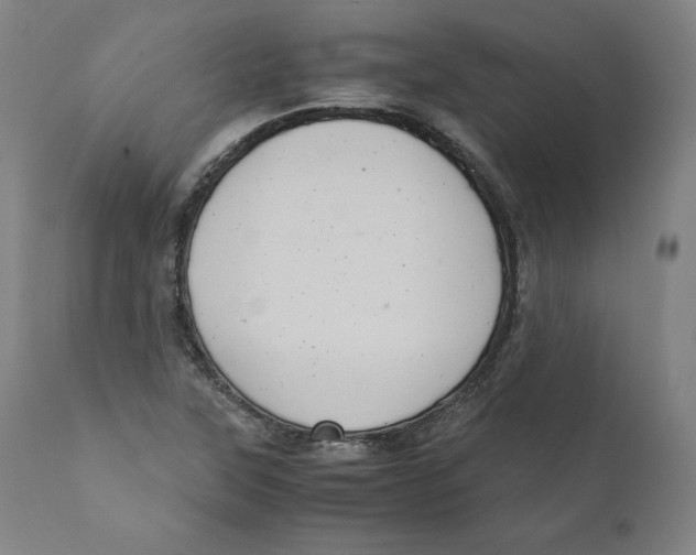 X0000110711315200907101235