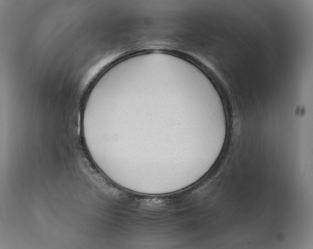 X0000110711317200907101235