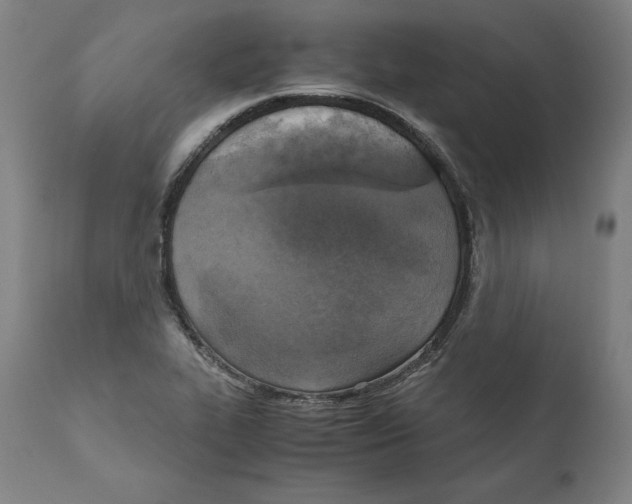 X0000110711319200907101235