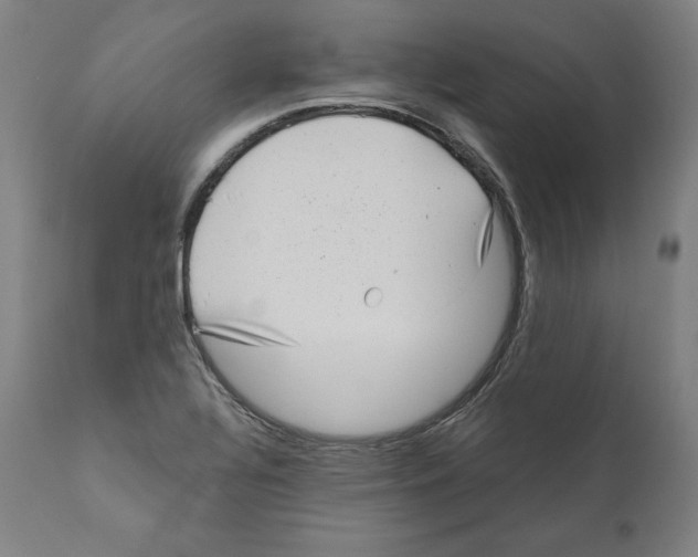 X0000110711320200907101235