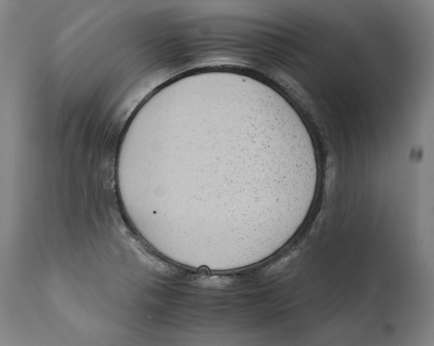 X0000110711321200907101235