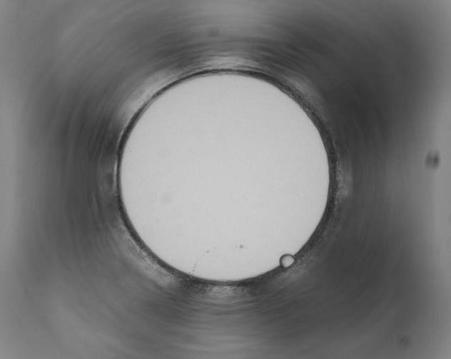 X0000110711322200907101235