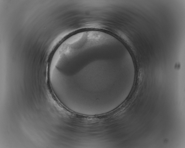 X0000110711323200907101235