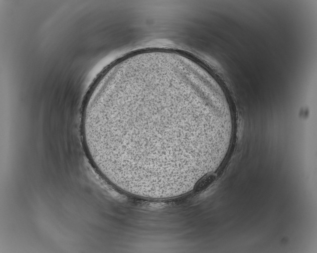 X0000110711326200907101235