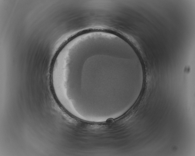 X0000110711327200907101235