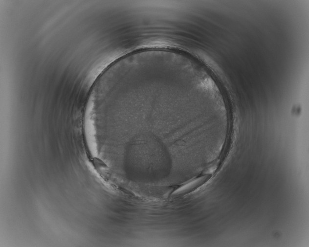 X0000110711329200907101235