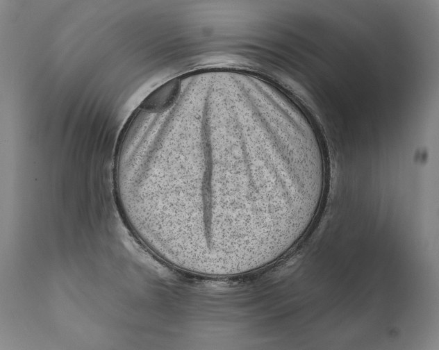 X0000110711330200907101235