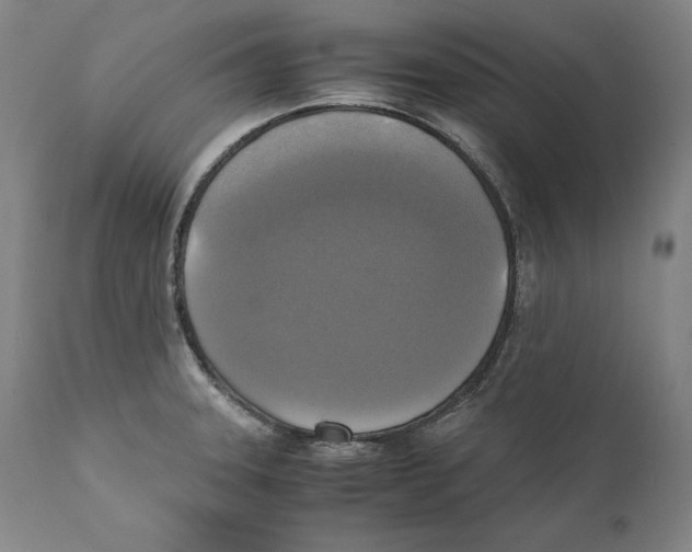 X0000110711331200907101235