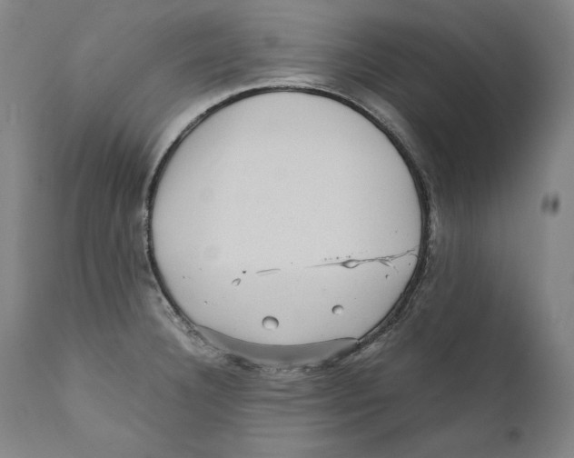 X0000110711332200907101235