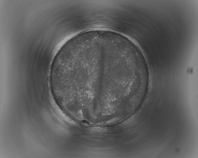 X0000110711333200907101235