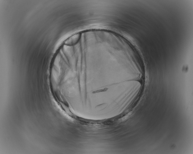 X0000110711334200907101235