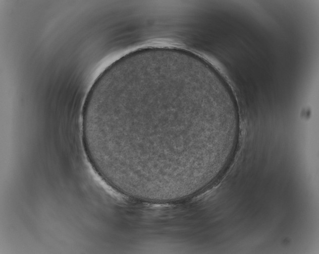 X0000110711335200907101235