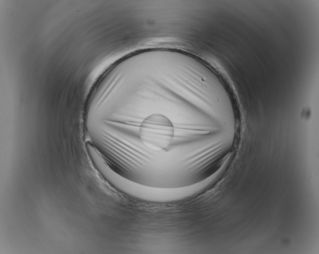 X0000110711336200907101235