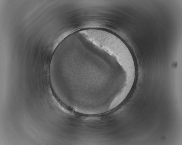 X0000110711337200907101235