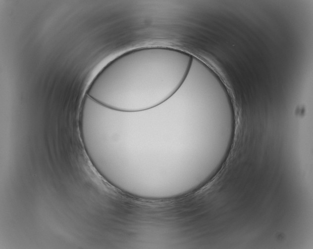 X0000110711340200907101235