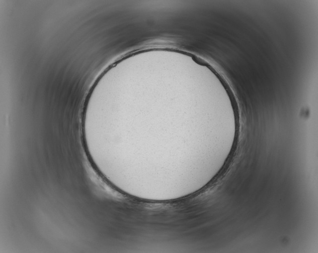 X0000110711341200907101235