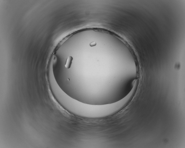 X0000110711342200907101235