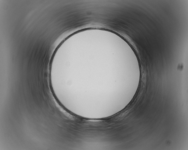 X0000110711343200907101235