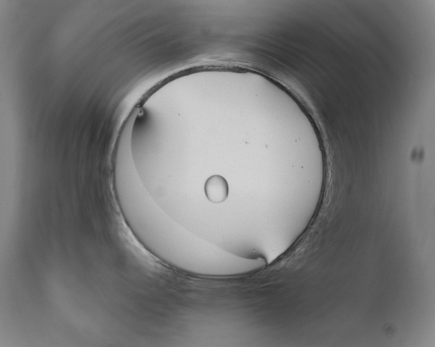 X0000110711344200907101235