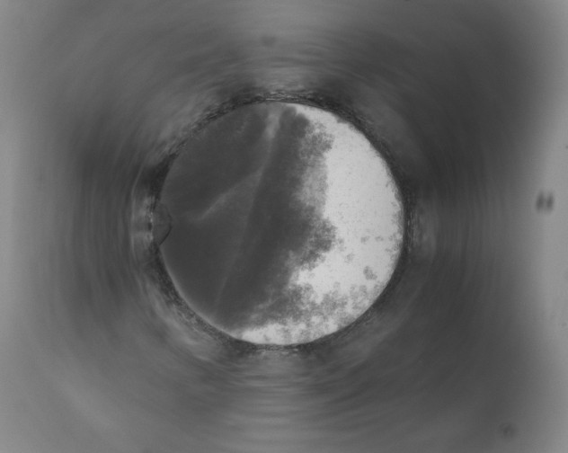 X0000110711346200907101234